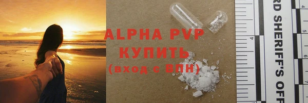 гидра Володарск