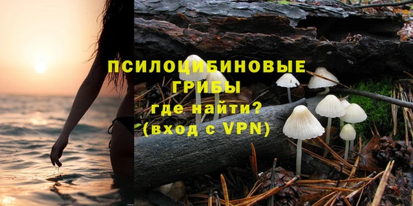 гидра Володарск