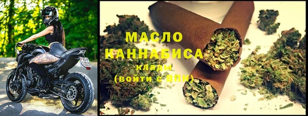 гидра Володарск
