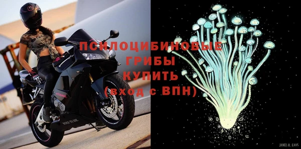 гидра Володарск