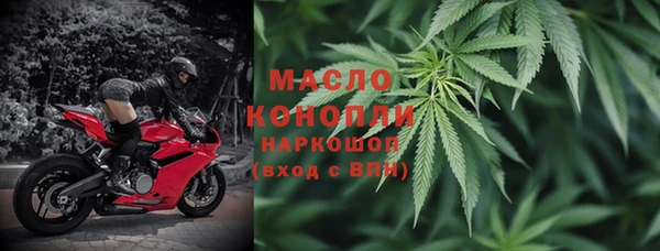 гидра Володарск