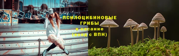 гидра Володарск