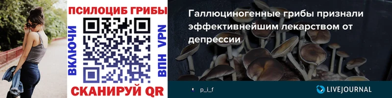 Галлюциногенные грибы Psilocybine cubensis  дарк нет как зайти  Смоленск 